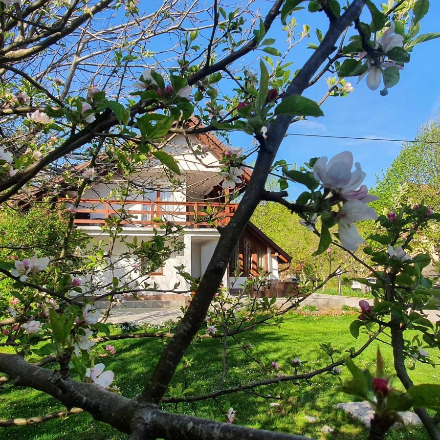 House Samardzic Hotel Jezerce Exterior photo