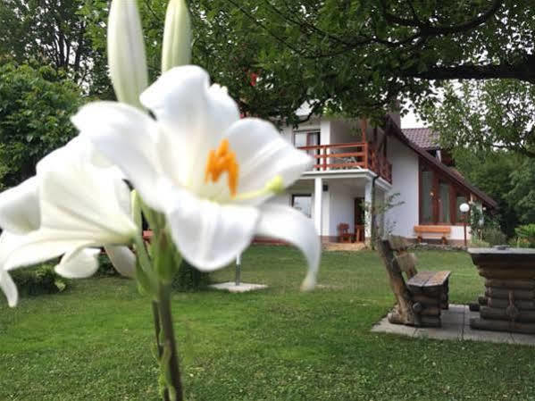 House Samardzic Hotel Jezerce Exterior photo